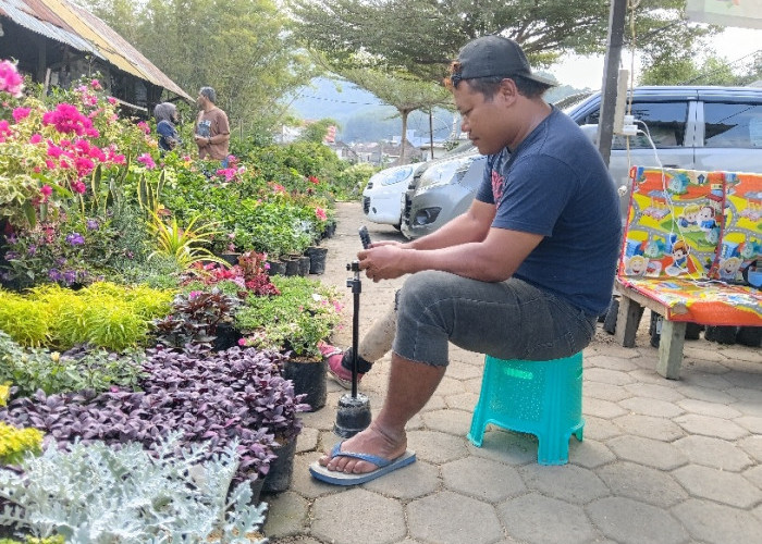 Penjualan Bunga Online di Pasar Sekarmulyo Batu dengan Aksi Host Live Dongkrak Pasar Lokal ke Kancah Nasional