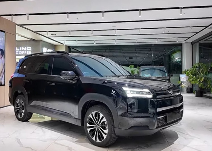 4 Kekurangan Wuling Action yang Wajib Diketahui Sebelum Membeli, Jangan Sampai Menyesal