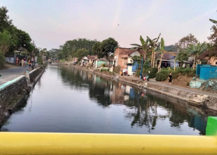 Hari Pemantauan Air Sedunia 18 September: Ini Sejarahnya, Ada Sungai di Malang dengan Nilai 55,06