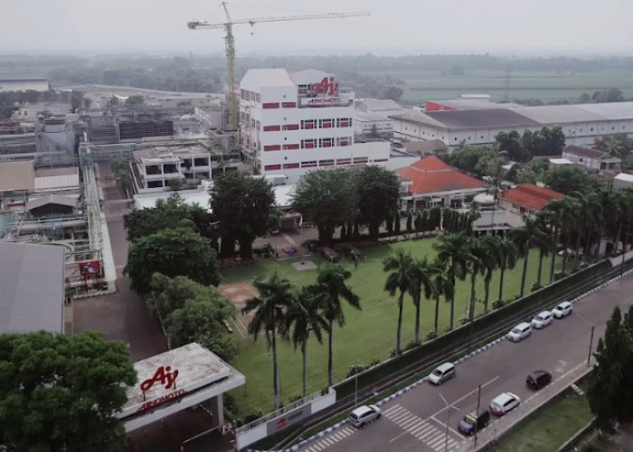 Viral Isu Pork Savor, Ajinomoto Buka Suara soal Sertifikat Halal