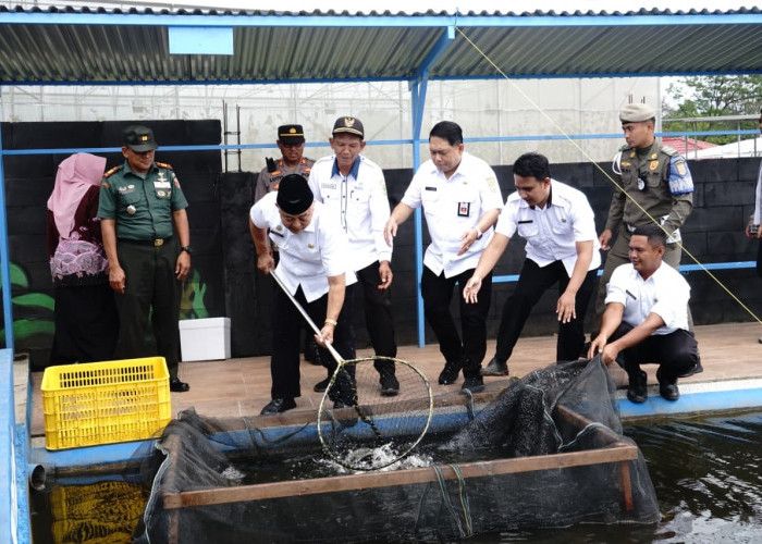 Warga Desa Mulyoarjo, Lawang Panen Raya Ikan Nila, 13 Ribu Bibit Hasilkan 2,3 Ton Ikan 