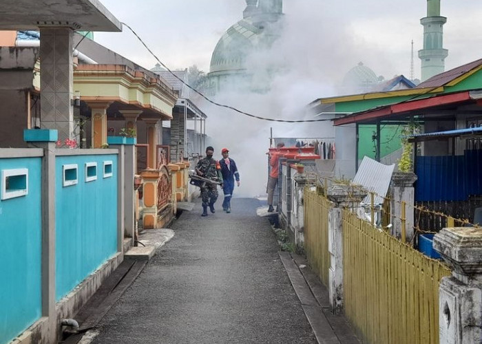 Waspada DBD! Tiga Kelurahan di Kota Batu Masuk Zona Prioritas, Warga Diminta Tingkatkan PSN 3M Plus