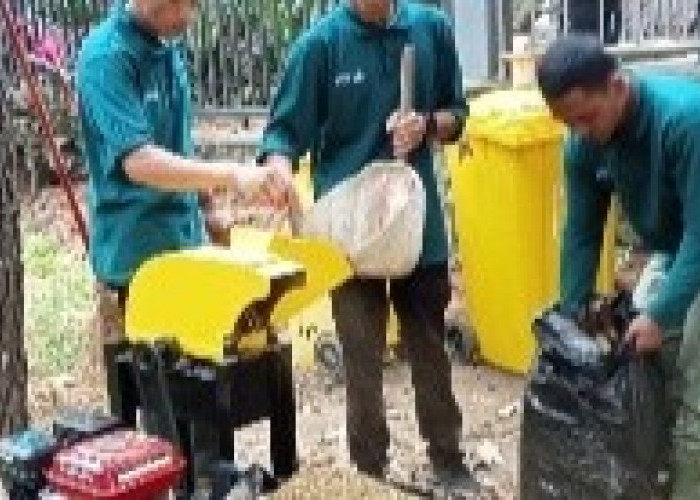 Semangat Green Campus FEB UB: Sampah Daun Kering Disulap Menjadi Kompos Bernilai