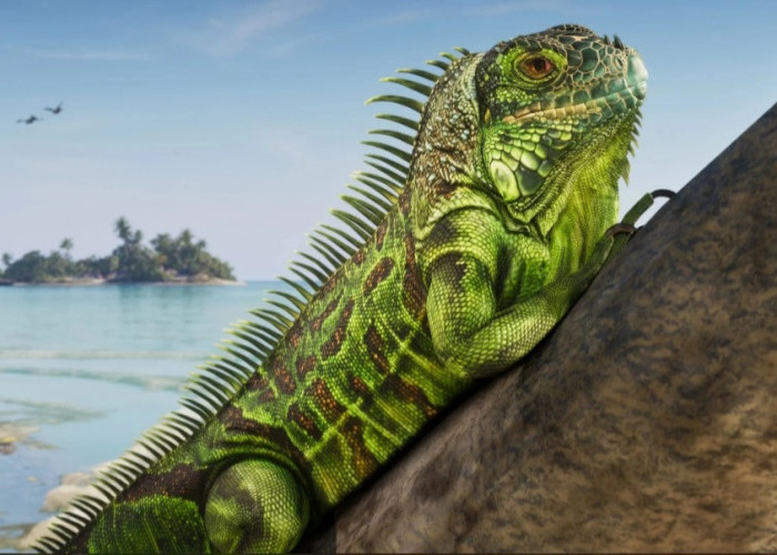 GTA 6 Ungkap 30 Screenshot Baru, Detail Iguana Bikin Penggemar Terpukau