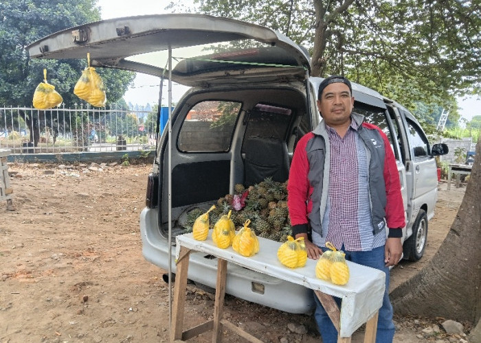 Pak Ari, Pedagang Nanas yang Bertahan 8 Tahun di Kota Batu: dari Lapak hingga Pasok Industri