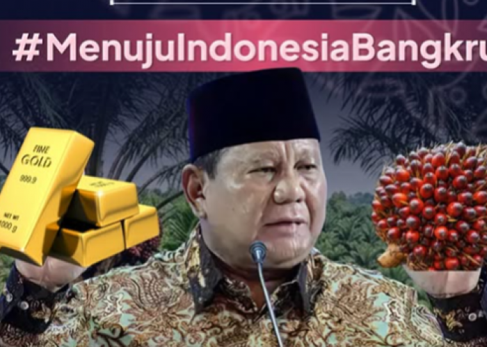 Dasco Yakin Rupiah Bakal Menguat, BEM SI Kepung Bundaran HI Besok Usung #MenujuIndonesiaBangkrut 