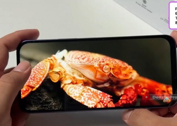 Cari HP NFC Rp2 Jutaan? Ini Pilihan untuk Pengguna Aktif dan Suka Multitasking