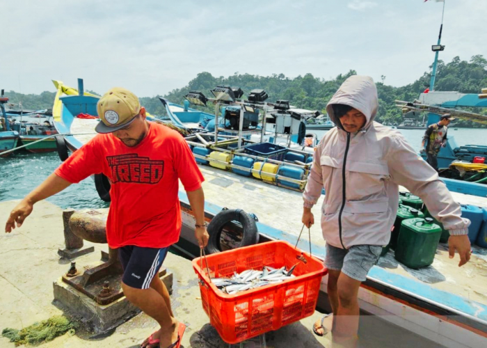 Kian Melejit! Produksi Ikan Budidaya Kabupaten Malang, Sukses Tembus 13 Ribu Ton