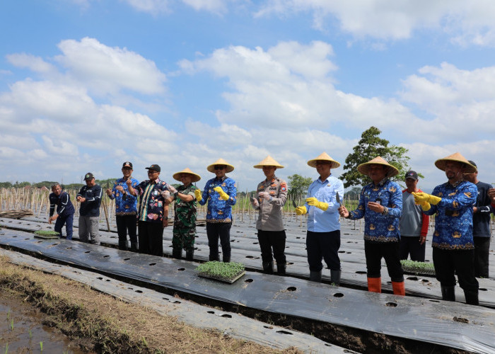 Petani di Kota Malang Diguyur Bantuan Alat dan Mesin, Rp 1 Miliar dari Pemkot, Rp 500 Juta dari Presiden 