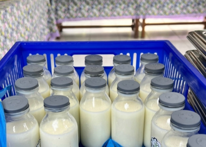 BGN Jawab Tudingan Susu MBG Hanya Mengandung 30%: Yang Penting Kadar Gizi Tak Berkurang