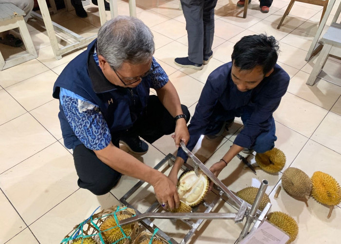 Mahasiswa Polinema Ciptakan Alat Pembelah Durian, Bisa Buka 4 Buah per Menit