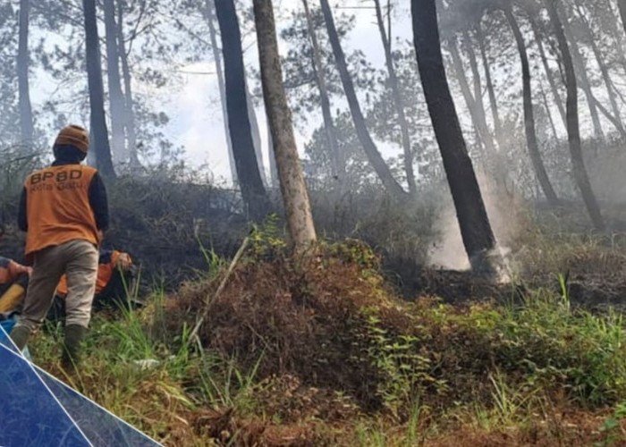 Sisa Pembakaran Serasah Dipicu Angin, 1,5 Hektare Lahan Bukit di Gunungsari Batu Hangus Terbakar