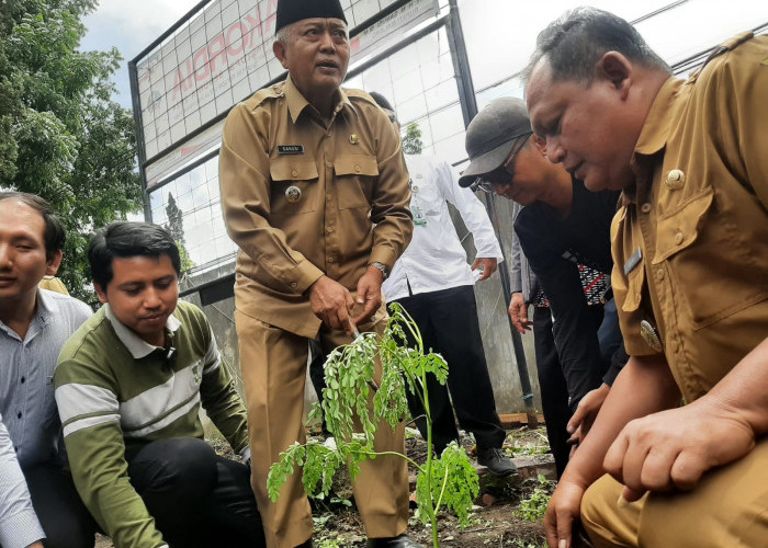 Pemkab Malang Giatkan Kelorisasi untuk Cegah Stunting sekaligus Atasi Dampak Perubahan Iklim