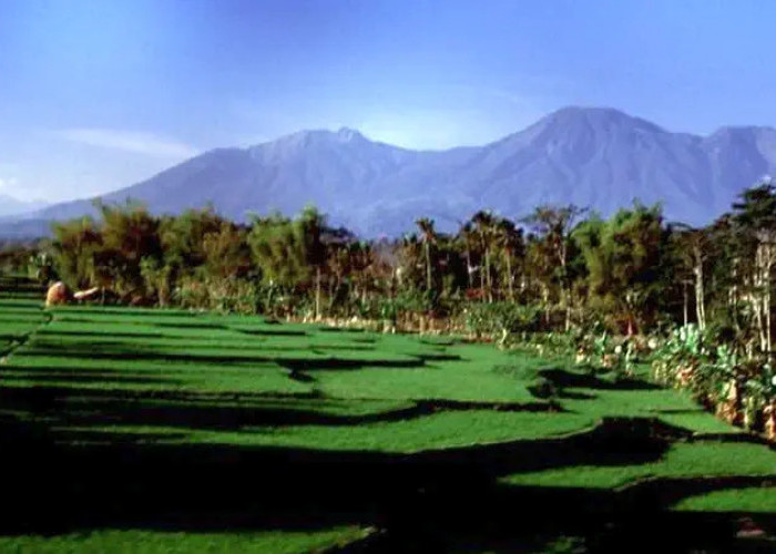 Cuaca Gunung di Malang 22 September: Kawi 8 Derajat, Perairan Selatan Gelombang 2,5 Meter