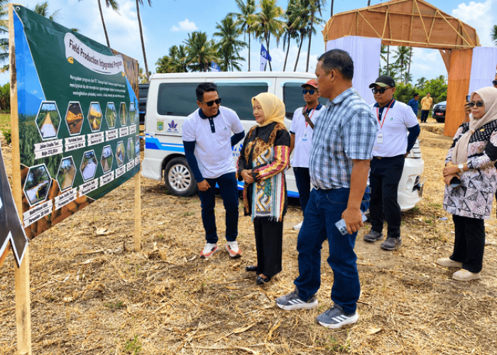 Petani Purwosekar Malang Bisa Raup Rp9 Juta Bersih dari Jagung Sekali Panen