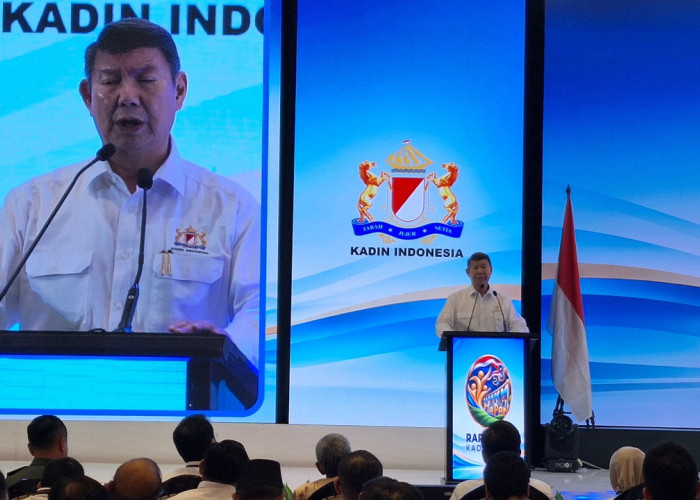 Hashim Sebut Pajak Digital Mulai 9 November, Bank dan Fintech Disiapkan Jadi Pemungut