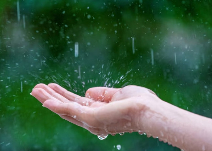 Cuaca Malang Raya 12 Februari 2026: 41 Kecamatan Hujan Ringan, Perairan Malang Selatan Badai dan Hujan Petir 