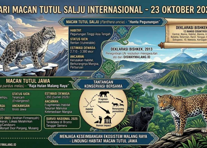 Hari Macan Tutul Salju 23 Oktober 2026, Bagaimana Nasib Macan Tutul Jawa di Malang Raya?