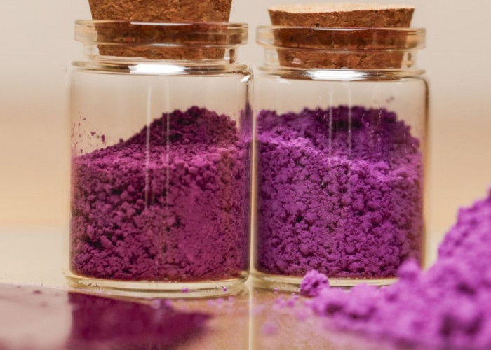 Mengenal Ungu, Warna Mewah yang Dahulu Lebih Berharga dari Emas