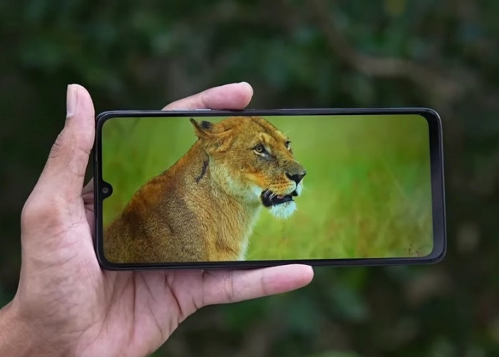 6 HP Baterai Besar Terbaik Mei 2026, Ada yang Tembus 8000 mAh Tahan 3 Hari