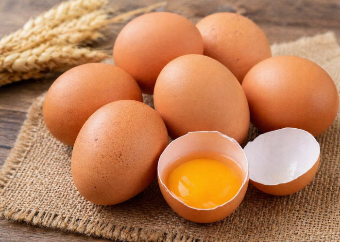 Tips Memilih Telur Sesuai Ciri-Ciri Fisik termasuk Warna Kulitnya