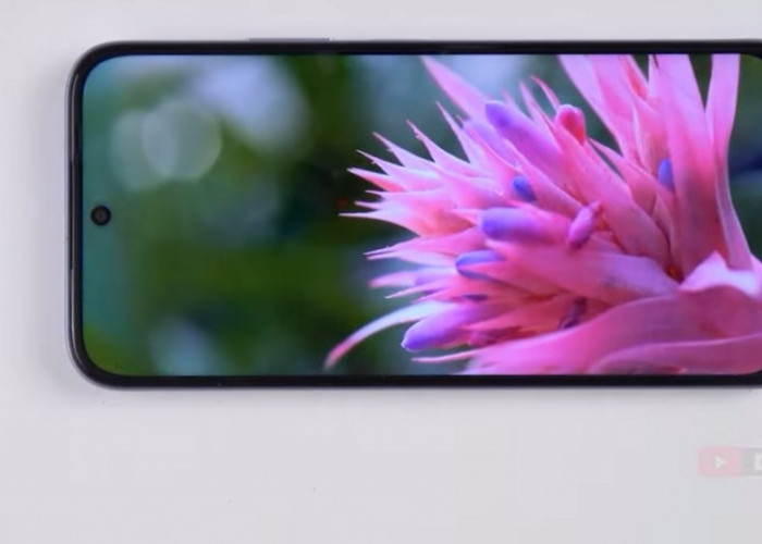 Rekomendasi HP OPPO RAM 8 GB Terbaik 2026, Performa Kencang dengan Harga Masih Terjangkau