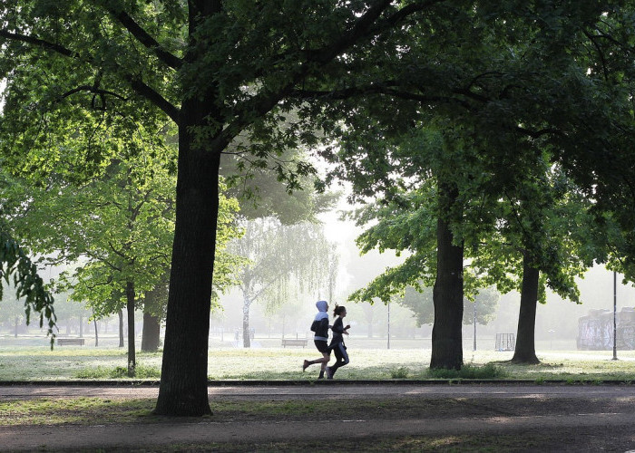 Mumpung Long Weekend, Yuk Mulai Latihan Trail Run Agar Bisa Ikut 9 Event Trail Run Keren bagi Pemula Ini