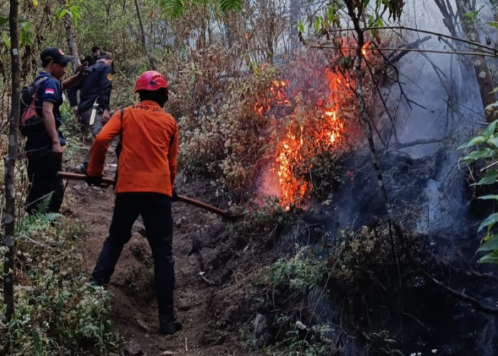Karhutla Gunung Buthak di Batu Padam, Titik Api Masih Terdeteksi di Kawinajang
