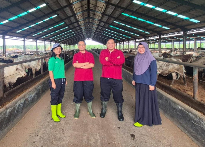 Tambah Fasilitas Praktik Lapangan, Fapet UB Gandeng Feedlot di Lampung