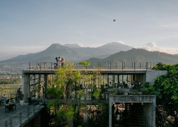 Rekomendasi 9 Kafe Indoor Bernuansa Alam untuk Menikmati After-Rain Vibes di Malang Raya