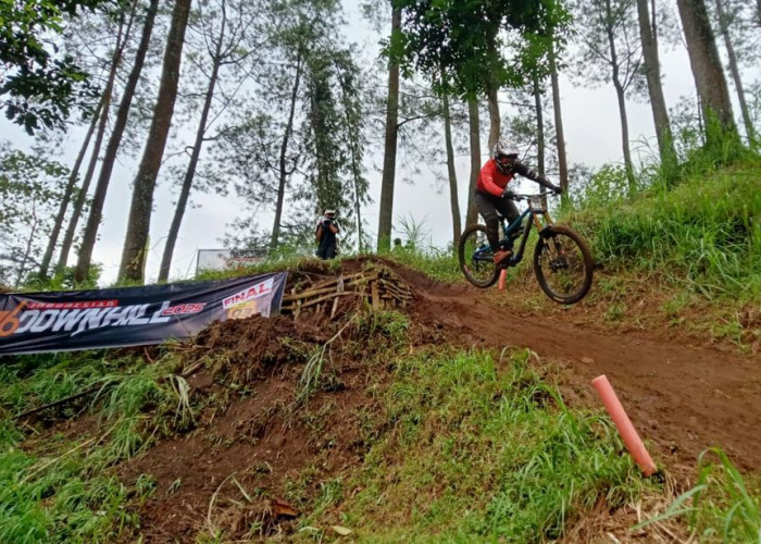 Indonesian Downhill 2025: 136 Pembalap Berlomba Taklukkan Klemuk Bike Park di  Kota Batu