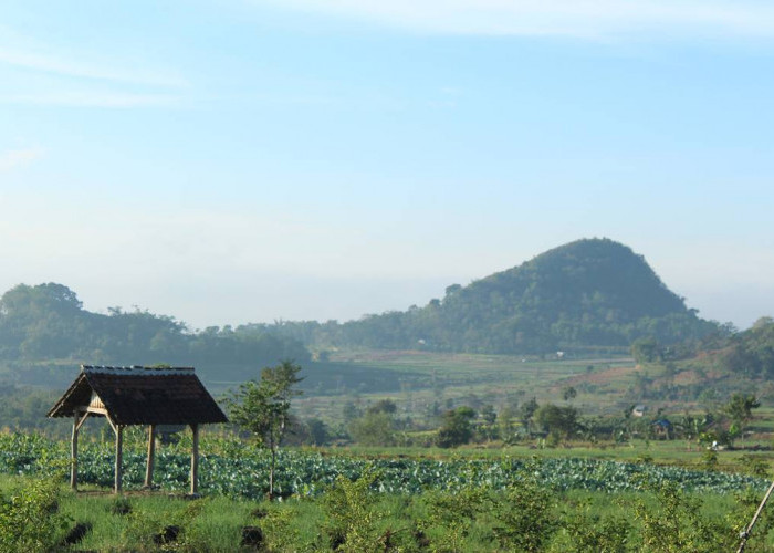 Desa Torongrejo Kota Batu Punya 3 Potensi Wisata, Ada Mata Air hingga Jejak Kanjuruhan