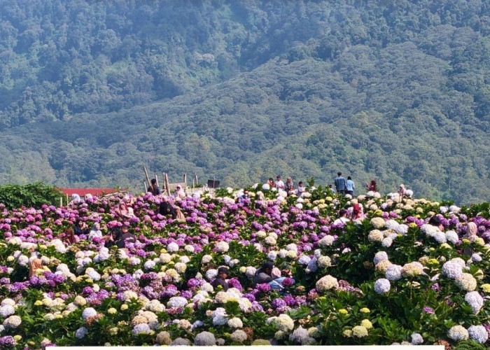 Songsong Hari Jadi ke-24 Kota Batu, Wali Kota Nurochman Tegaskan untuk Prioritaskan Wisata Hijau 
