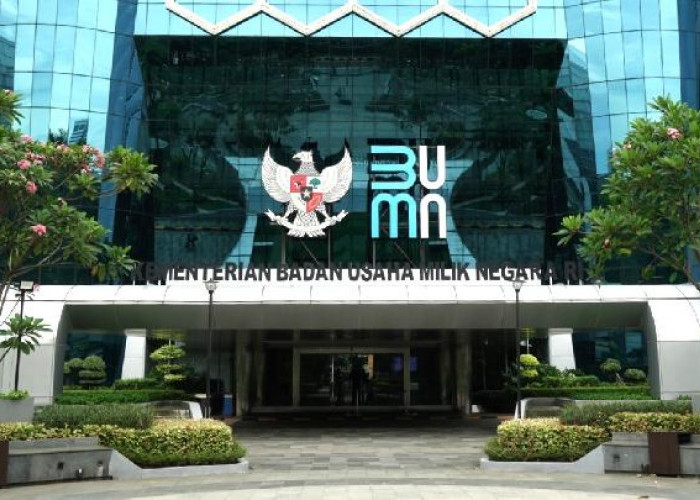 Komisaris BUMN 2025 Dikuasai Birokrat-Poliltisi: Dari 562 Kursi, Hanya 133 Diisi Profesional 