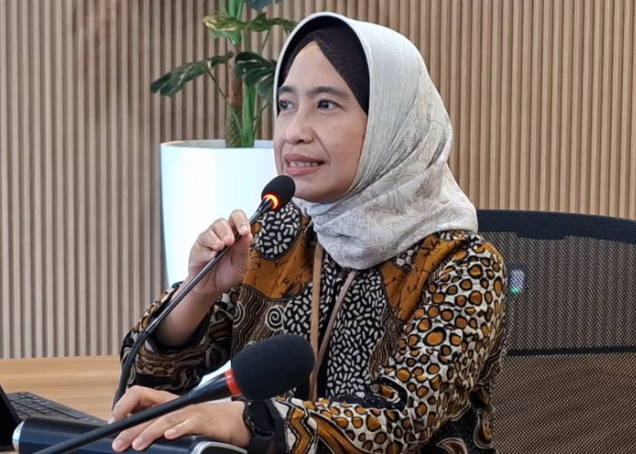 Kelas 1, 2, dan 3 BPJS Kesehatan Dihapus, Kemenkes Siapkan 2 Opsi Ruangan Rawat Inap Pengganti   