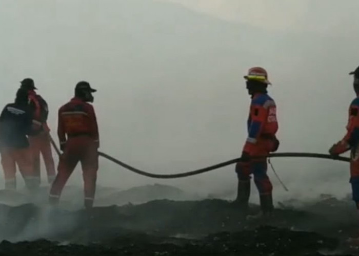 BPBD Kota Malang Ingatkan Bahaya Bakar Sampah dan Buang Puntung Rokok saat Lahan Mengering