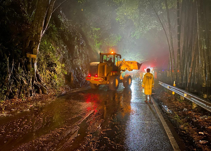 Malam Minggu, Dua Tanah Longsor dan Pohon Tumbang