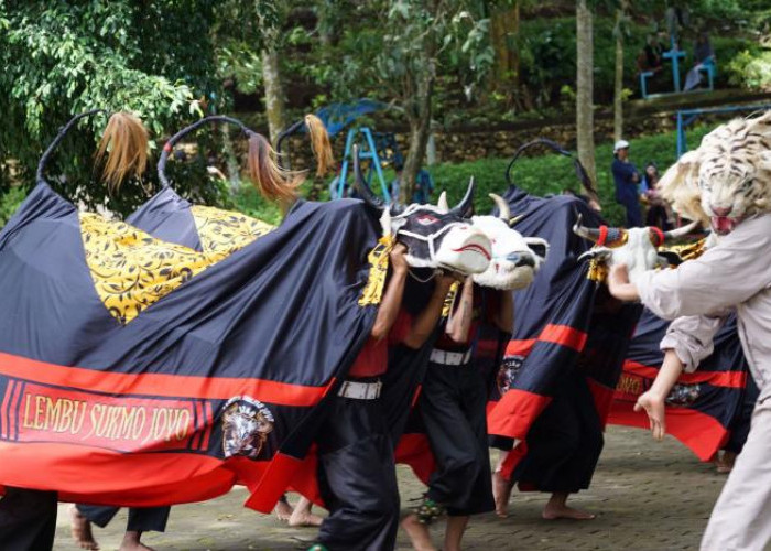 Mahasiswa KKM UIN Malang Awali Tahun Baru dengan Gelar Festival Mberot Bantengan