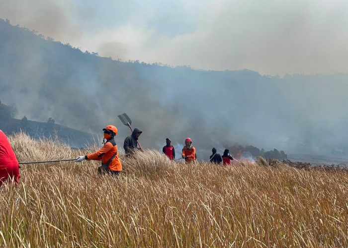 Tiket Bromo Kena Dampak Kebakaran? Refund dan Reschedule Dibuka hingga 31 Agustus