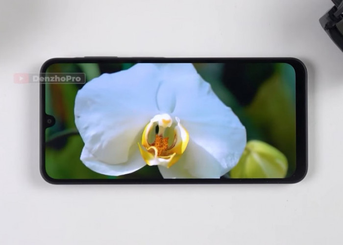 7 HP Samsung RAM 8/256 GB Terbaik 2026, Galaxy A56 5G Jadi Raja Performa