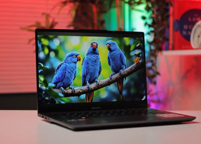 Laptop 4 Jutaan Tak Sekadar Murah, 5 Model Ini Punya Fitur yang Berbeda