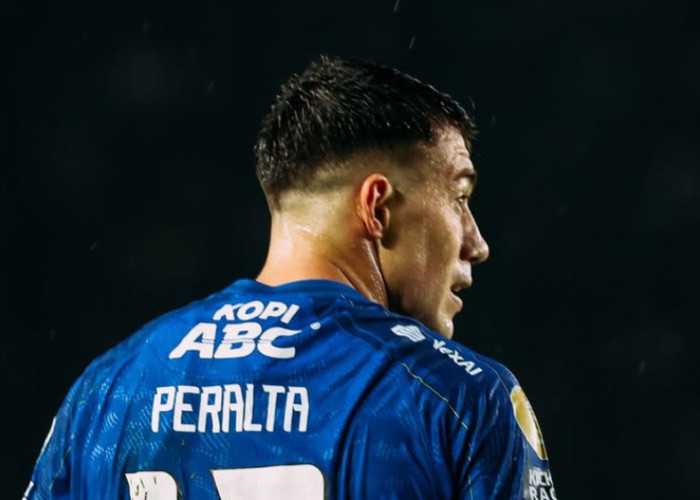 Persib Bandung Perlu Siapkan Skenario Darurat, Tujuh Pemain Bermasalah Jelang ACL 2