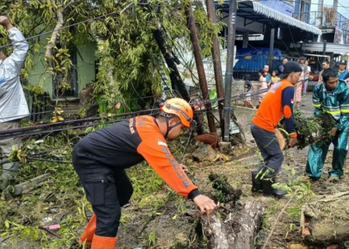 Prakiraan Cuaca Malang Raya 1 Februari: Hujan di Batu dan Sebagian Kota, Potensi Angin Kencang di Kabupaten