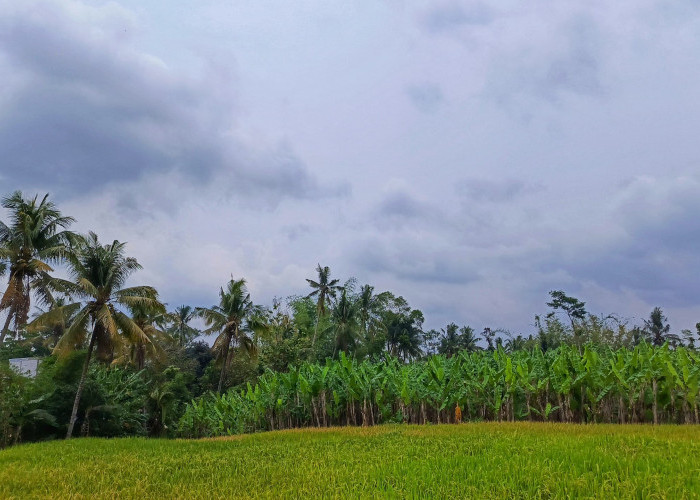 Cuaca Kabupaten Malang 28 Oktober 2026: Hujan Ringan di 20 Kecamatan, Poncokusumo 17°C