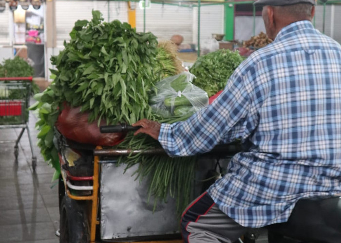 Harga Sembako di Kota Malang Terus Turun, Berikut Daftar Terbarunya