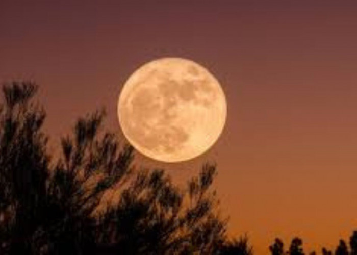 Siap Siap Saksikan Keindahan Langit Lagi! Kini Sang Flower Moon Yang Akan Menghias Angkasa!!