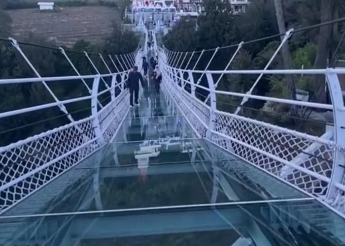Jembatan Kaca Semeru Resmi Diserahkan ke Kemenhut, Akhir 2025 Diuji Coba sebagai Wisata Alam TNBTS