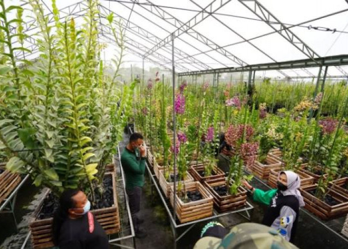 Dadaprejo dan Tulungrejo, Kota Batu, Raih Penghargaan Kelurahan/Desa Berseri Jatim 2025