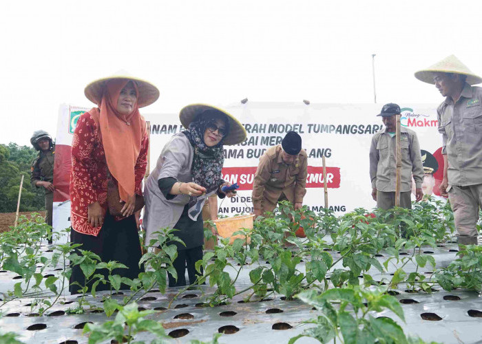 Sambang Desa, Bupati Malang Dorong Ketahanan Pangan di Kecamatan Pujon