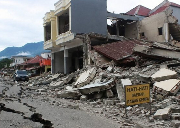 Gempa M7,7 NTT: Korban Meninggal Bertambah Jadi 48 Orang, 9.290 Warga Mengungsi